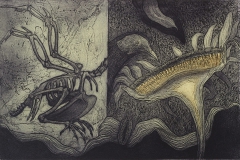 Fossil,-Etching,-30''X22''