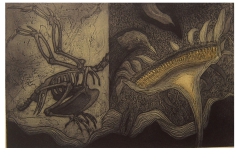 Fossil-II, Etching.